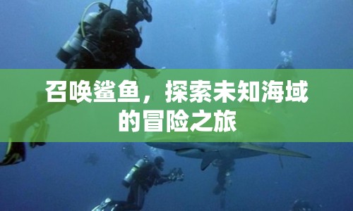 探索未知海域，召喚鯊魚(yú)，開(kāi)啟驚險(xiǎn)冒險(xiǎn)之旅