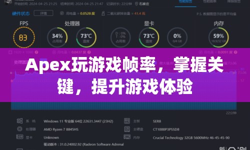 掌握Apex關(guān)鍵，提升游戲幀率體驗(yàn)