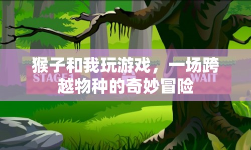 猴子與我，一場跨越物種的奇妙冒險(xiǎn)