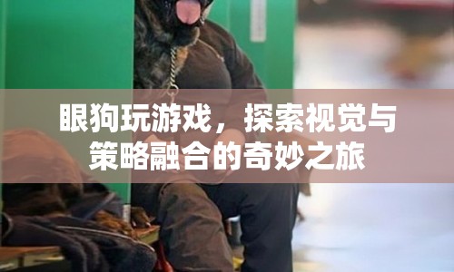 眼狗，探索視覺與策略融合的奇妙之旅