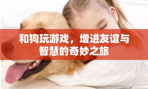 與狗共舞，增進(jìn)友誼與智慧的奇妙之旅