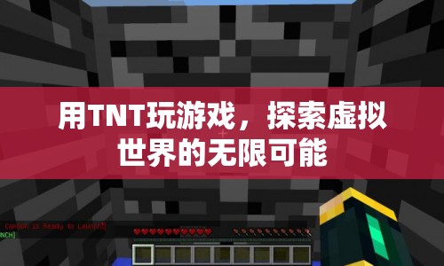 TNT，探索虛擬世界的無限可能  第1張