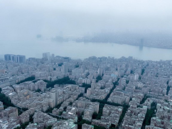 我的世界無攻擊力怪物，和諧共存的冒險(xiǎn)之旅